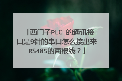 西门子PLC 的通讯接口是9针的串口怎么接出来RS485的两根线？