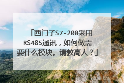 西门子S7-200采用RS485通讯,如何做需要什么模块。请教高人?