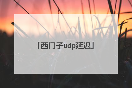 西门子udp延迟