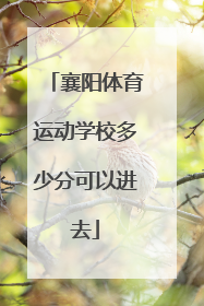 襄阳体育运动学校多少分可以进去