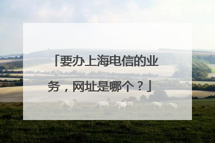 要办上海电信的业务，网址是哪个？