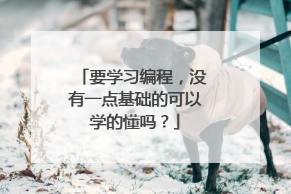 要学习编程,没有一点基础的可以学的懂吗?
