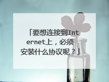 要想连接到Internet上,必须安装什么协议呢?