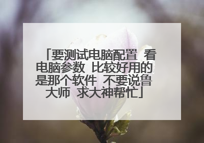要测试电脑配置 看电脑参数 比较好用的是那个软件 不要说鲁大师 求大神帮忙