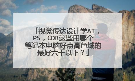 视觉传达设计学AI,PS,CDR这些用哪个笔记本电脑好点高色域的最好六千以下?