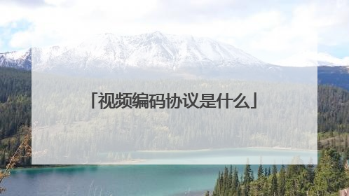 视频编码协议是什么