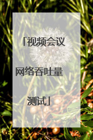 视频会议网络吞吐量测试