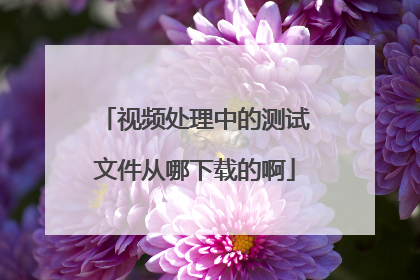 视频处理中的测试文件从哪下载的啊