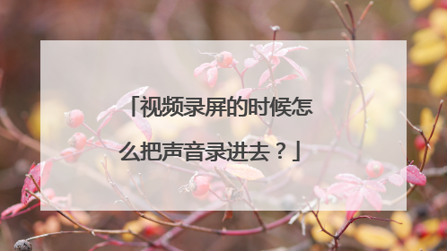 视频录屏的时候怎么把声音录进去？