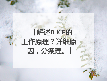 解述DHCP的工作原理？详细原因，分条理。