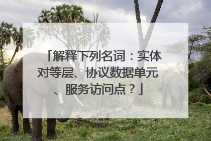 解释下列名词:实体对等层、协议数据单元、服务访问点?