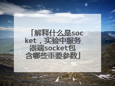 解释什么是socket，实验中服务器端socket包含哪些重要参数