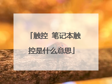 触控 笔记本触控是什么意思