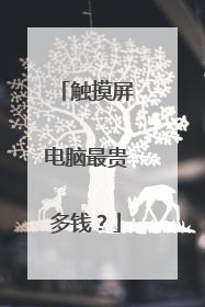 触摸屏电脑最贵多钱?
