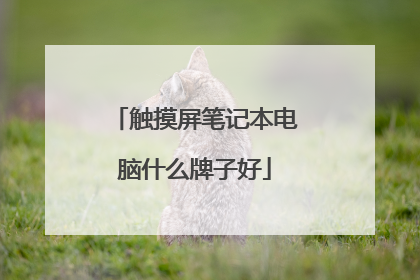 触摸屏笔记本电脑什么牌子好