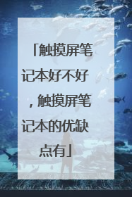 触摸屏笔记本好不好，触摸屏笔记本的优缺点有