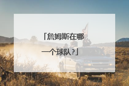 詹姆斯在哪一个球队?