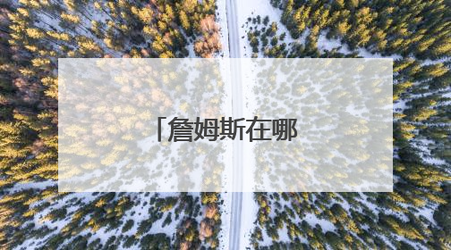 詹姆斯在哪一个球队