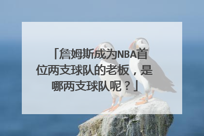 詹姆斯成为NBA首位两支球队的老板，是哪两支球队呢？