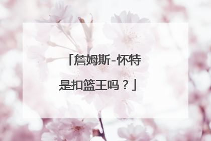 詹姆斯-怀特是扣篮王吗？