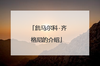 詹马尔科·齐格尼的介绍