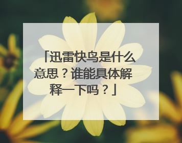 迅雷快鸟是什么意思?谁能具体解释一下吗?