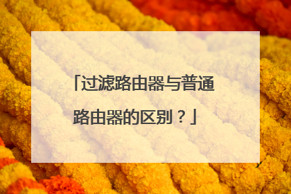 过滤路由器与普通路由器的区别?