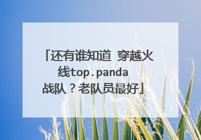 还有谁知道 穿越火线top.panda战队？老队员最好