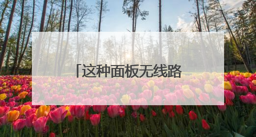 这种面板无线路由器怎么设置啊