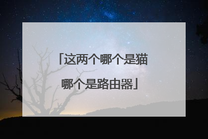 这两个哪个是猫 哪个是路由器