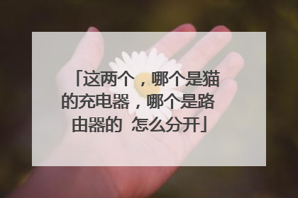这两个,哪个是猫的充电器,哪个是路由器的 怎么分开