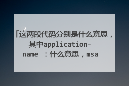 这两段代码分别是什么意思，其中application-name ：什么意思，msapplication-tooltip ：是什么意思