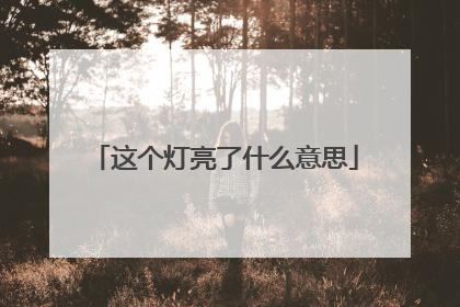 这个灯亮了什么意思