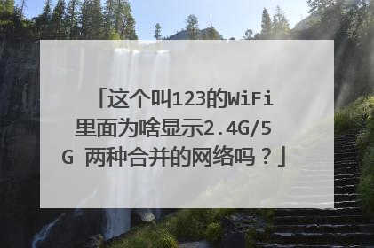 这个叫123的WiFi里面为啥显示2.4G/5G 两种合并的网络吗?