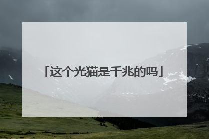 这个光猫是千兆的吗