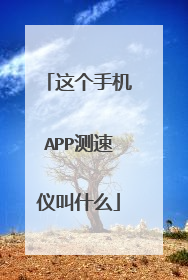 这个手机APP测速仪叫什么