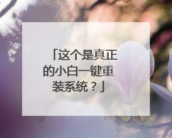 这个是真正的小白一键重装系统?