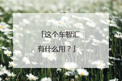 这个车智汇有什么用?