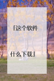 这个软件什么下载