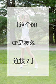 这个DHCP是怎么连接?