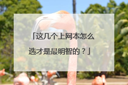这几个上网本怎么选才是最明智的?