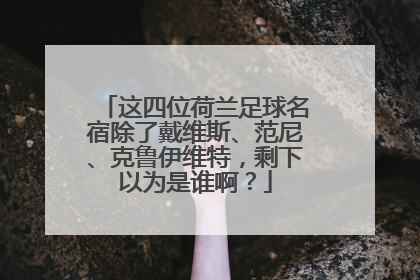 这四位荷兰足球名宿除了戴维斯、范尼、克鲁伊维特，剩下以为是谁啊？