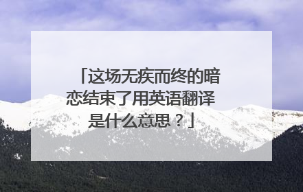 这场无疾而终的暗恋结束了用英语翻译是什么意思?