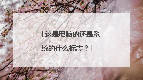 这是电脑的还是系统的什么标志？