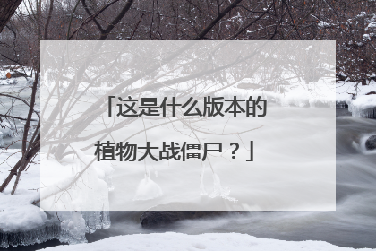 这是什么版本的植物大战僵尸？
