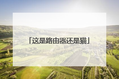 这是路由器还是猫