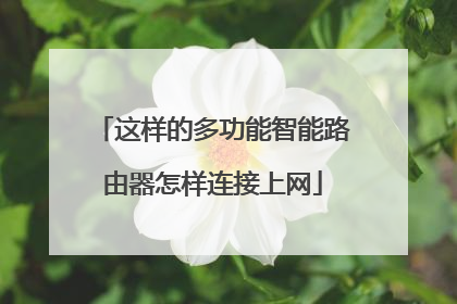 这样的多功能智能路由器怎样连接上网