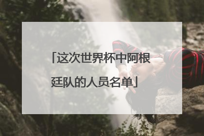 这次世界杯中阿根廷队的人员名单