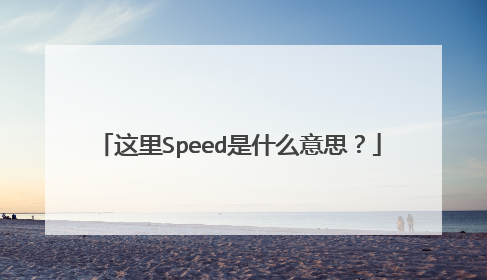 这里Speed是什么意思?