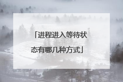 进程进入等待状态有哪几种方式